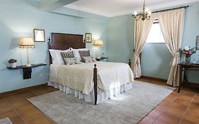 Charming Antas House